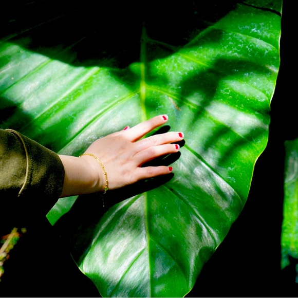 Meet your Posher, Sylvia - Picture 1 of 1